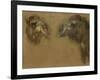 Deux têtes de dromadaires-Pieter Boel-Framed Giclee Print