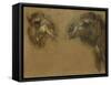 Deux têtes de dromadaires-Pieter Boel-Framed Stretched Canvas