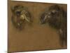 Deux têtes de dromadaires-Pieter Boel-Mounted Giclee Print