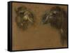 Deux têtes de dromadaires-Pieter Boel-Framed Stretched Canvas