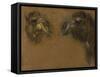 Deux têtes de dromadaires-Pieter Boel-Framed Stretched Canvas