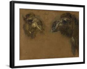 Deux têtes de dromadaires-Pieter Boel-Framed Giclee Print