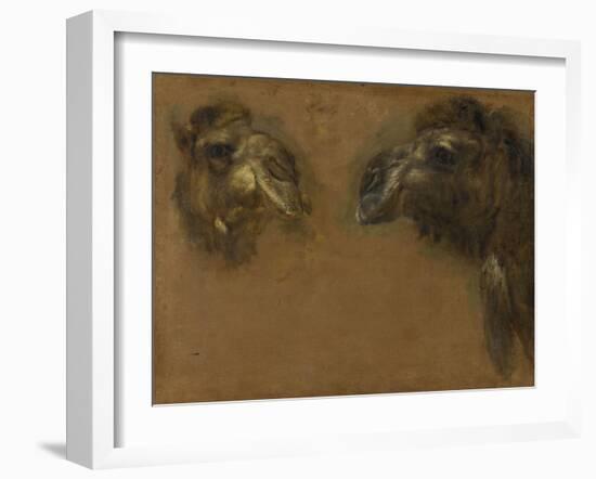 Deux têtes de dromadaires-Pieter Boel-Framed Giclee Print