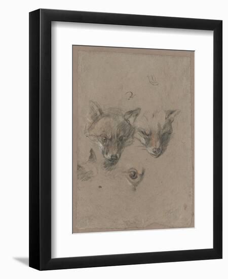 Deux têtes de renards et un oeil-Pieter Boel-Framed Premium Giclee Print