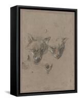 Deux têtes de renards et un oeil-Pieter Boel-Framed Stretched Canvas