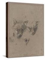 Deux têtes de renards et un oeil-Pieter Boel-Stretched Canvas