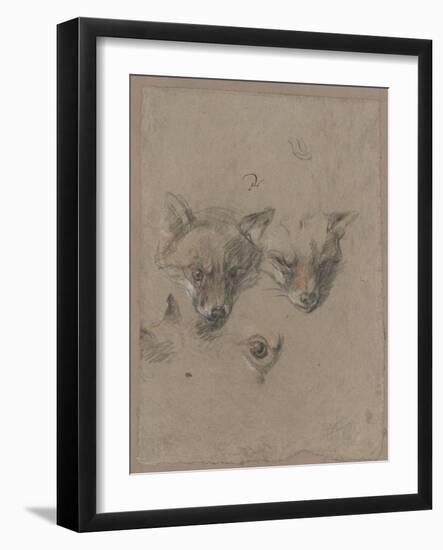 Deux têtes de renards et un oeil-Pieter Boel-Framed Giclee Print