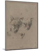 Deux têtes de renards et un oeil-Pieter Boel-Mounted Giclee Print