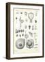 Development, 1863-79-Raimundo Petraroja-Framed Giclee Print