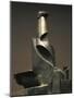 Development of Bottle in Space-Umberto Boccioni-Mounted Giclee Print