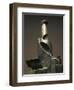 Development of Bottle in Space-Umberto Boccioni-Framed Giclee Print