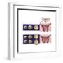 Development of Identical and Non-Identical Twins-null-Framed Art Print