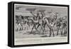 Development of the Goldfields in Western Australia-Frank Dadd-Framed Stretched Canvas