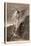 Devil and Lady, Ca 1894-J Koppay-Stretched Canvas