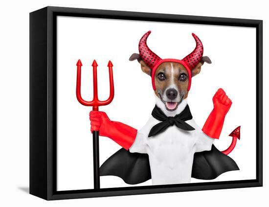 Devil Dog-Javier Brosch-Framed Stretched Canvas