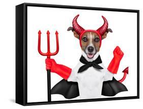 Devil Dog-Javier Brosch-Framed Stretched Canvas