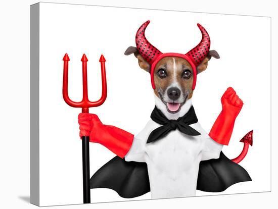 Devil Dog-Javier Brosch-Stretched Canvas