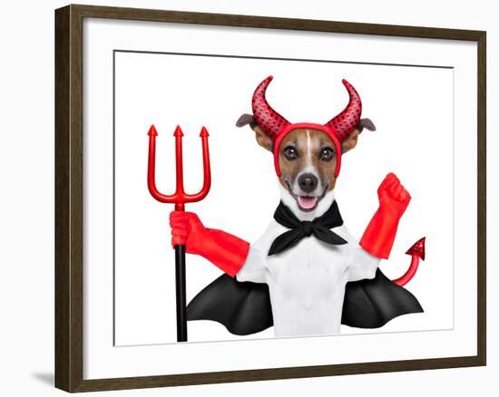 Devil Dog-Javier Brosch-Framed Photographic Print