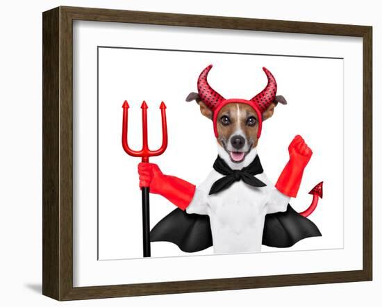 Devil Dog-Javier Brosch-Framed Photographic Print