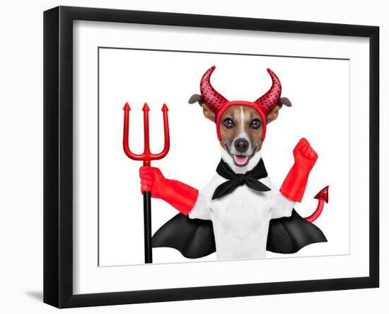 Devil Dog-Javier Brosch-Framed Photographic Print