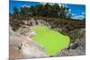 Devil's Bath Crater Wai-O-Tapu-null-Mounted Art Print