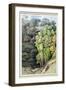 Devil's Bridge, 1810 (W/C with Pen and Ink over Graphite)-Francis Towne-Framed Giclee Print