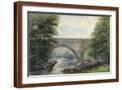 Brown Frame