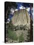 Devil's Tower, Devil's Tower National Monument, Wyoming, United States of America, North America-James Emmerson-Stretched Canvas