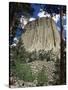 Devil's Tower, Devil's Tower National Monument, Wyoming, United States of America, North America-James Emmerson-Stretched Canvas