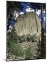 Devil's Tower, Devil's Tower National Monument, Wyoming, United States of America, North America-James Emmerson-Mounted Photographic Print