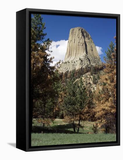 Devil's Tower, Devil's Tower National Monument, Wyoming, United States of America, North America-James Emmerson-Framed Stretched Canvas