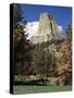 Devil's Tower, Devil's Tower National Monument, Wyoming, United States of America, North America-James Emmerson-Stretched Canvas