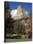 Devil's Tower, Devil's Tower National Monument, Wyoming, United States of America, North America-James Emmerson-Stretched Canvas