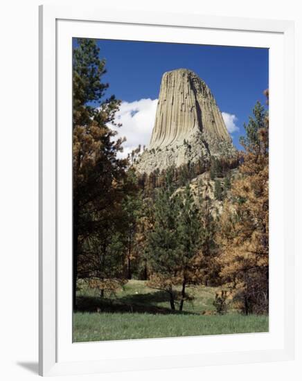 Devil's Tower, Devil's Tower National Monument, Wyoming, United States of America, North America-James Emmerson-Framed Photographic Print