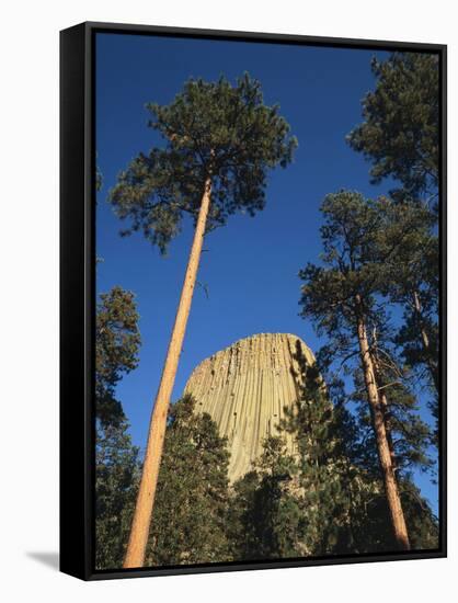 Devil's Tower National Monument at Dusk, Hulett, Wyoming, USA-Walter Bibikow-Framed Stretched Canvas