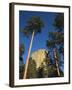 Devil's Tower National Monument at Dusk, Hulett, Wyoming, USA-Walter Bibikow-Framed Premium Photographic Print