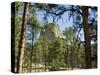 Devil's Tower National Monument, Wyoming, USA-Ethel Davies-Stretched Canvas