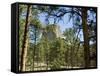 Devil's Tower National Monument, Wyoming, USA-Ethel Davies-Framed Stretched Canvas