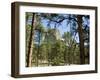 Devil's Tower National Monument, Wyoming, USA-Ethel Davies-Framed Photographic Print