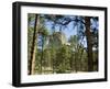 Devil's Tower National Monument, Wyoming, USA-Ethel Davies-Framed Photographic Print