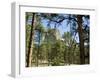 Devil's Tower National Monument, Wyoming, USA-Ethel Davies-Framed Photographic Print