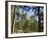 Devil's Tower National Monument, Wyoming, USA-Ethel Davies-Framed Photographic Print