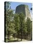 Devil's Tower National Monument, Wyoming, USA-Ethel Davies-Stretched Canvas