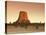 Devil's Tower National Monument, Wyoming, USA-Michele Falzone-Stretched Canvas