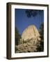 Devil's Tower, Wyoming, USA-Geoff Renner-Framed Photographic Print