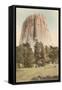 Devil's Tower, Wyoming-null-Framed Stretched Canvas