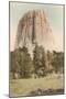Devil's Tower, Wyoming-null-Mounted Art Print