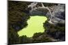 Devils Bath, Waiotapu Thermal Reserve, near Rotorua, North Island, New Zealand-David Wall-Mounted Photographic Print