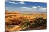 Devils Garden - Landscape - Arches National Park - Utah - United States-Philippe Hugonnard-Mounted Photographic Print