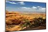 Devils Garden - Landscape - Arches National Park - Utah - United States-Philippe Hugonnard-Mounted Photographic Print
